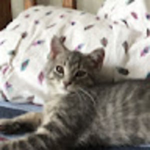 Meet your Posher, Chloe